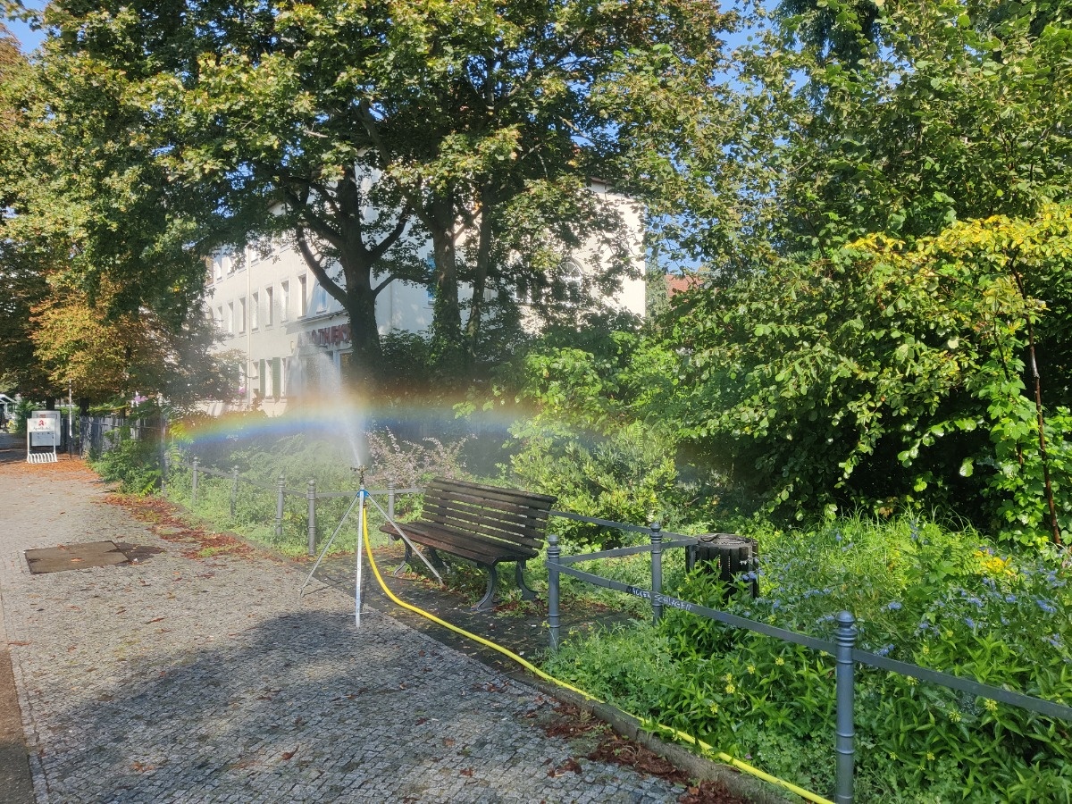 d42b2be5-4619-4cca-bbf9-e45c28572898