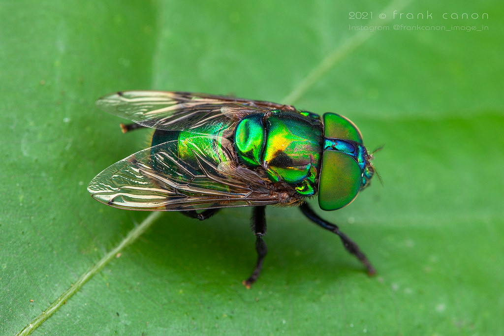 0a05fe96-b9a7-49b1-88df-68ef810fb310