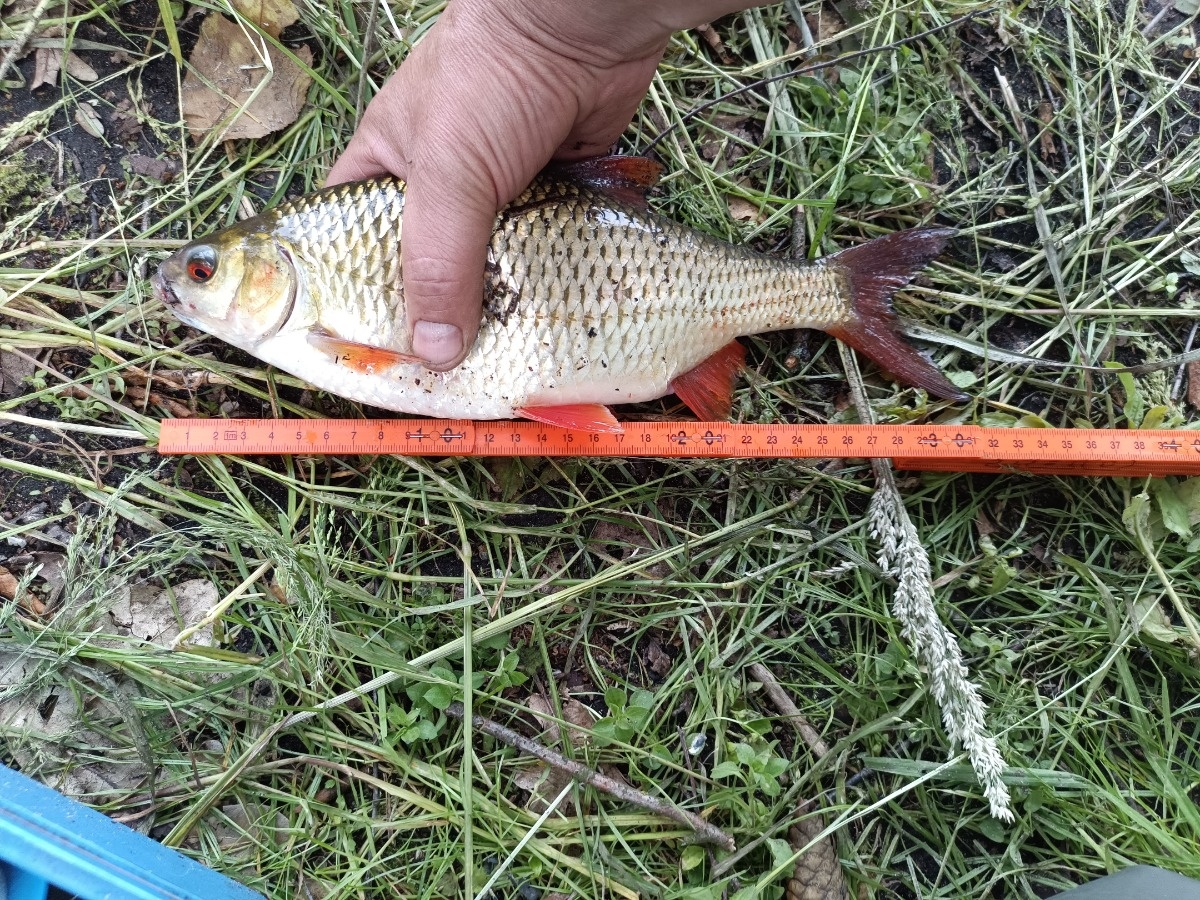 163dfb0e-f6d9-453c-a2f4-7416e6cac08d