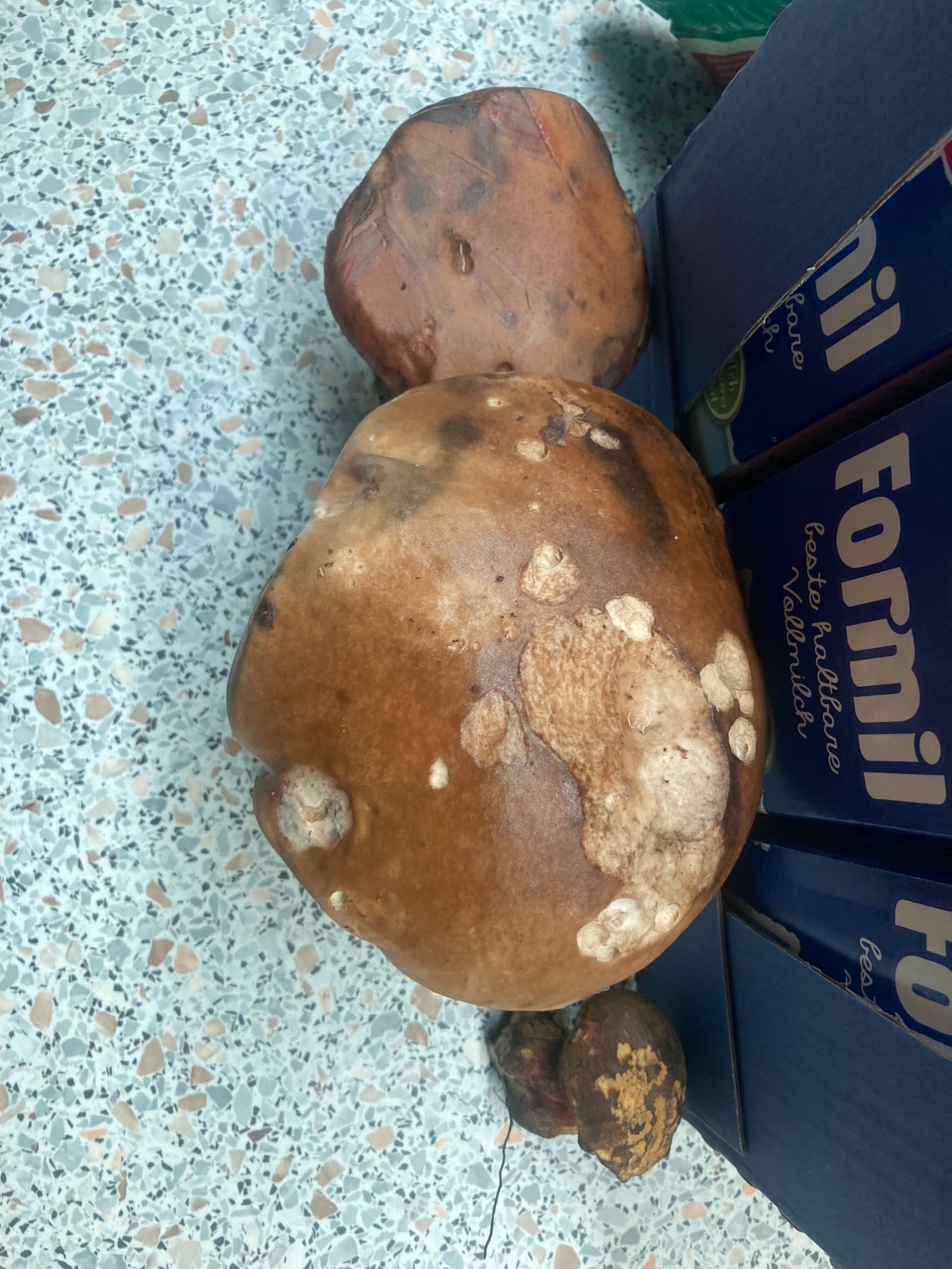 4e2f4667-f98c-4b10-b8fd-7ad0dc14d37c