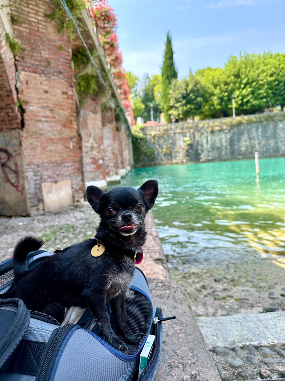 d66072e9-f0ce-4335-88c7-a20e3c3adabe