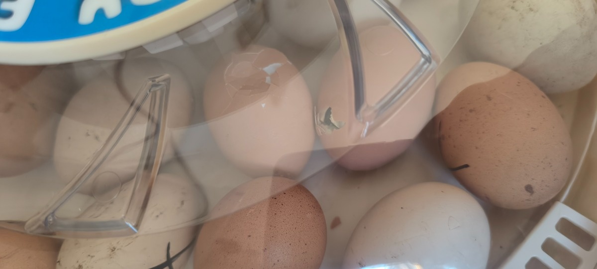 1abe9ae1-60da-4c78-a420-e06718c15427