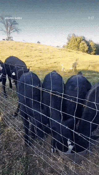 758410a5-7c6e-4c04-b41d-2f2044c0dbab