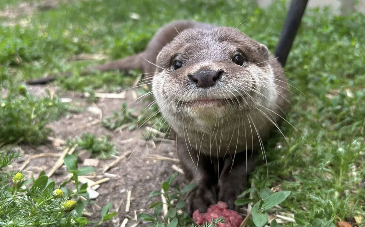 845b48cb-2a0e-4aca-9c0e-4d07dae9234a