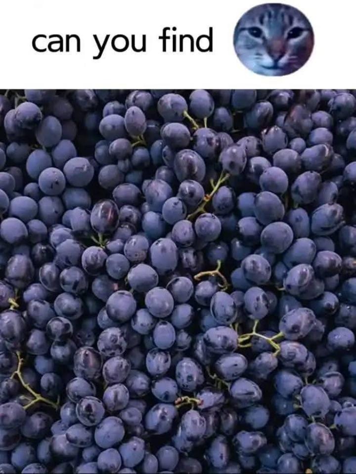 990821ed-a79f-4b12-b7de-f4c774f61d28