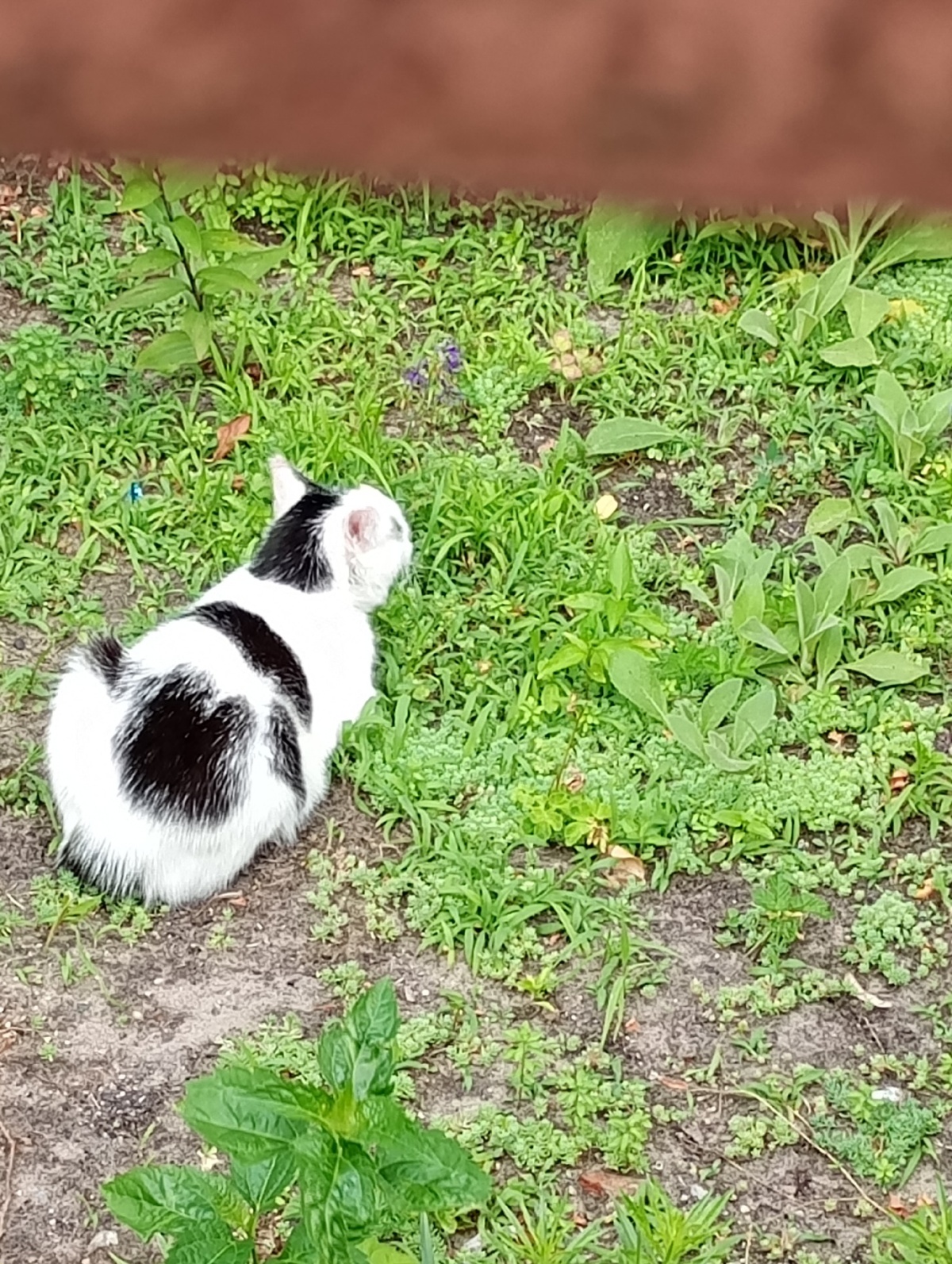 fe1f5c53-9580-47a4-8345-38ec52dfaa12