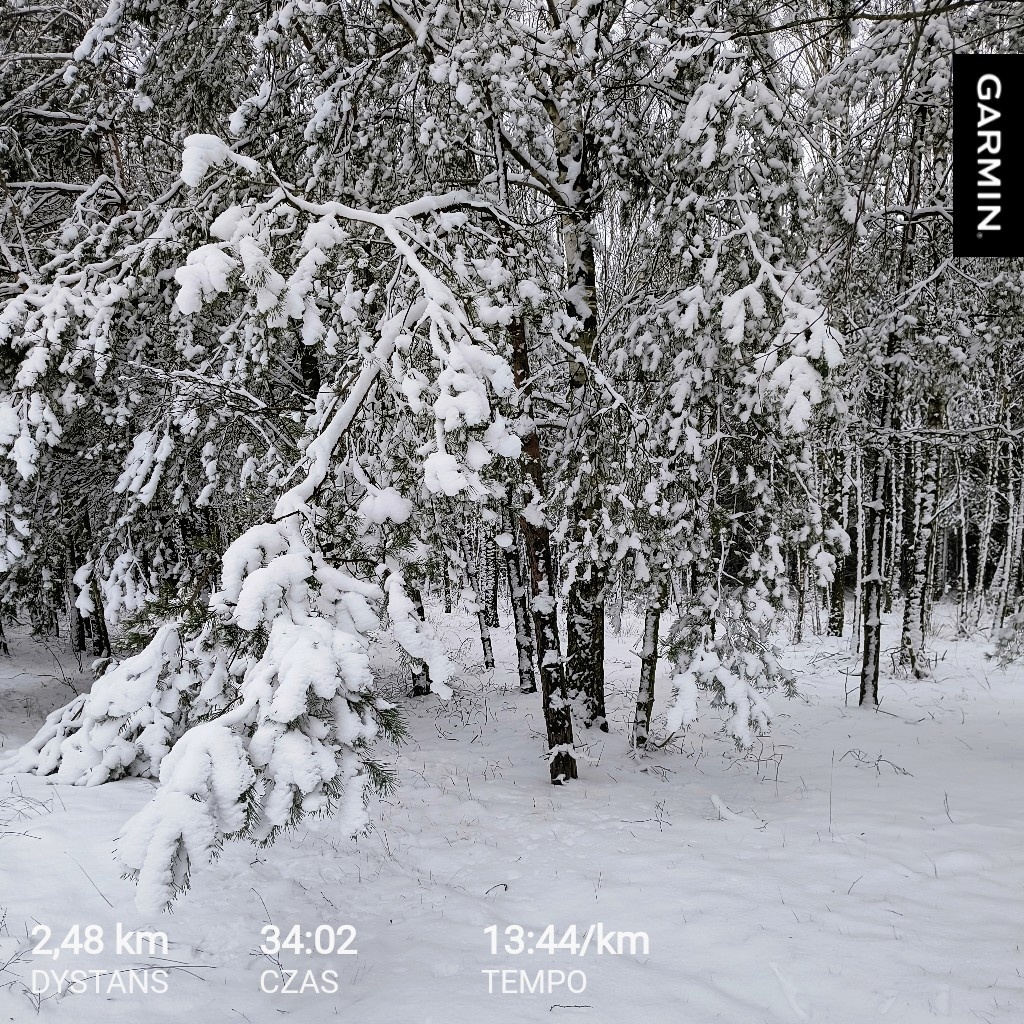 9dfa156f-c9ac-4329-8759-9dc714e6e09f