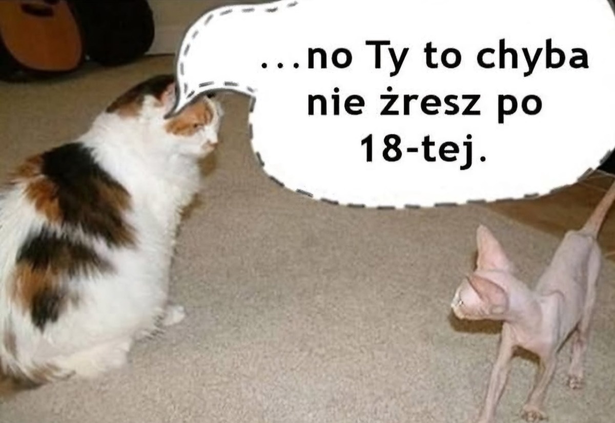 07c8a55b-34b9-49dc-9fda-70a6e34e9fa0