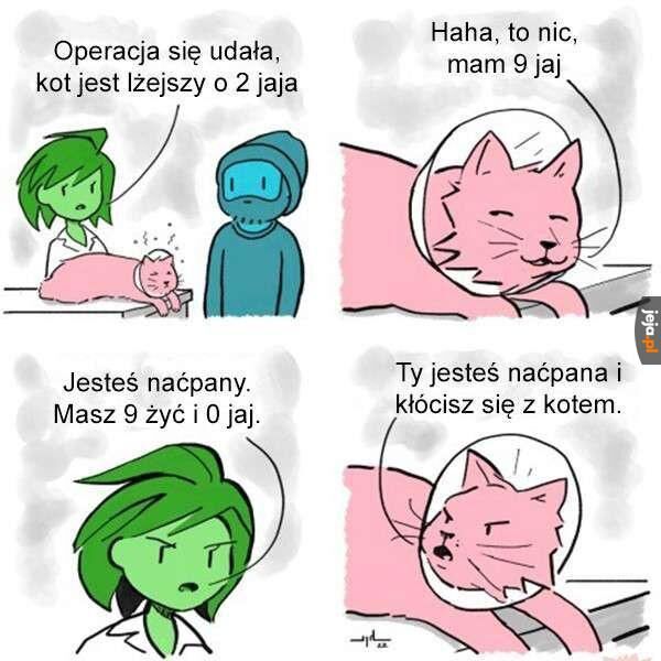 ae43ae10-81a3-4f9d-b07b-90e4cf943b8e