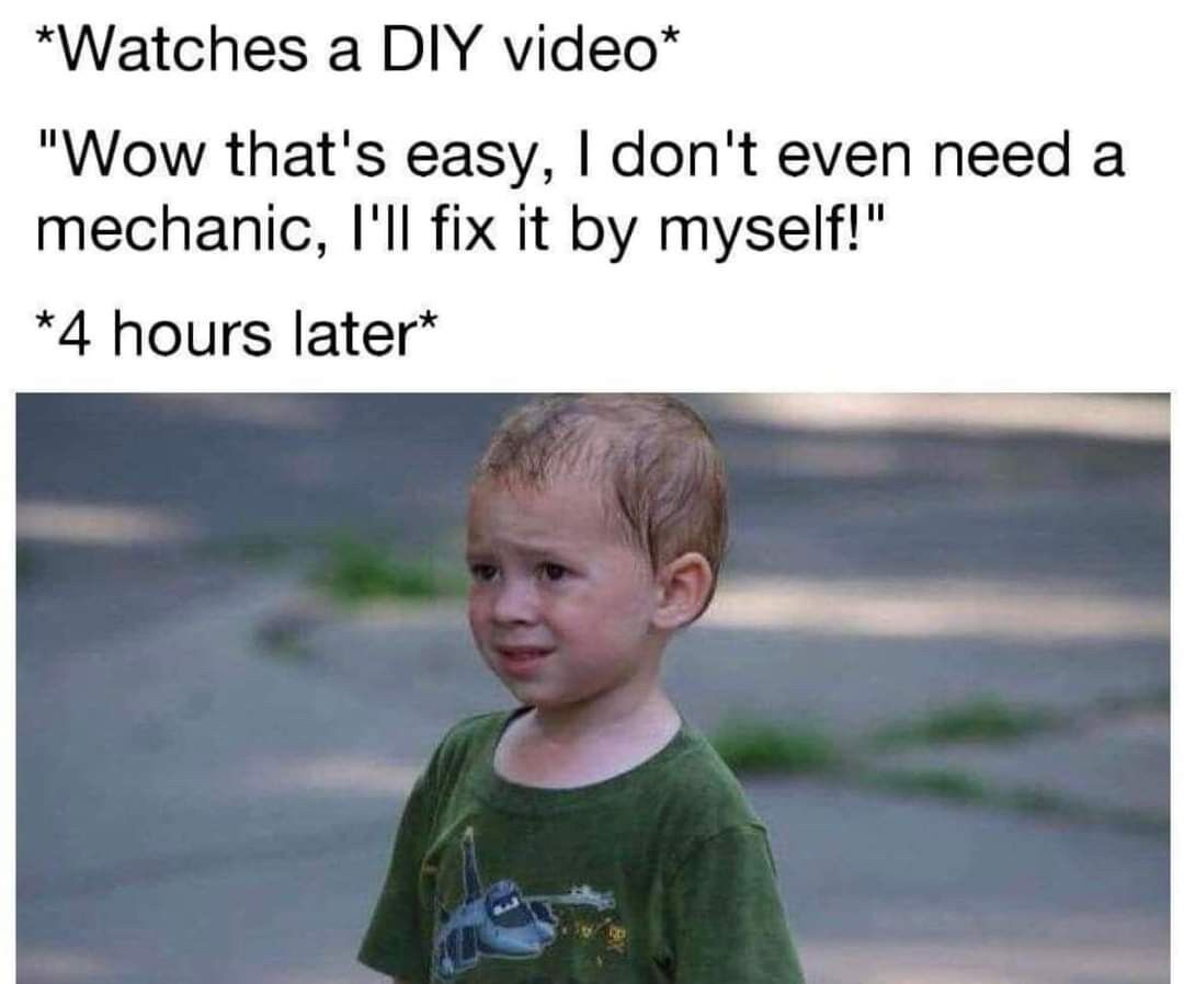 09e1fb22-adc3-4097-acf5-0c95c50d4c71