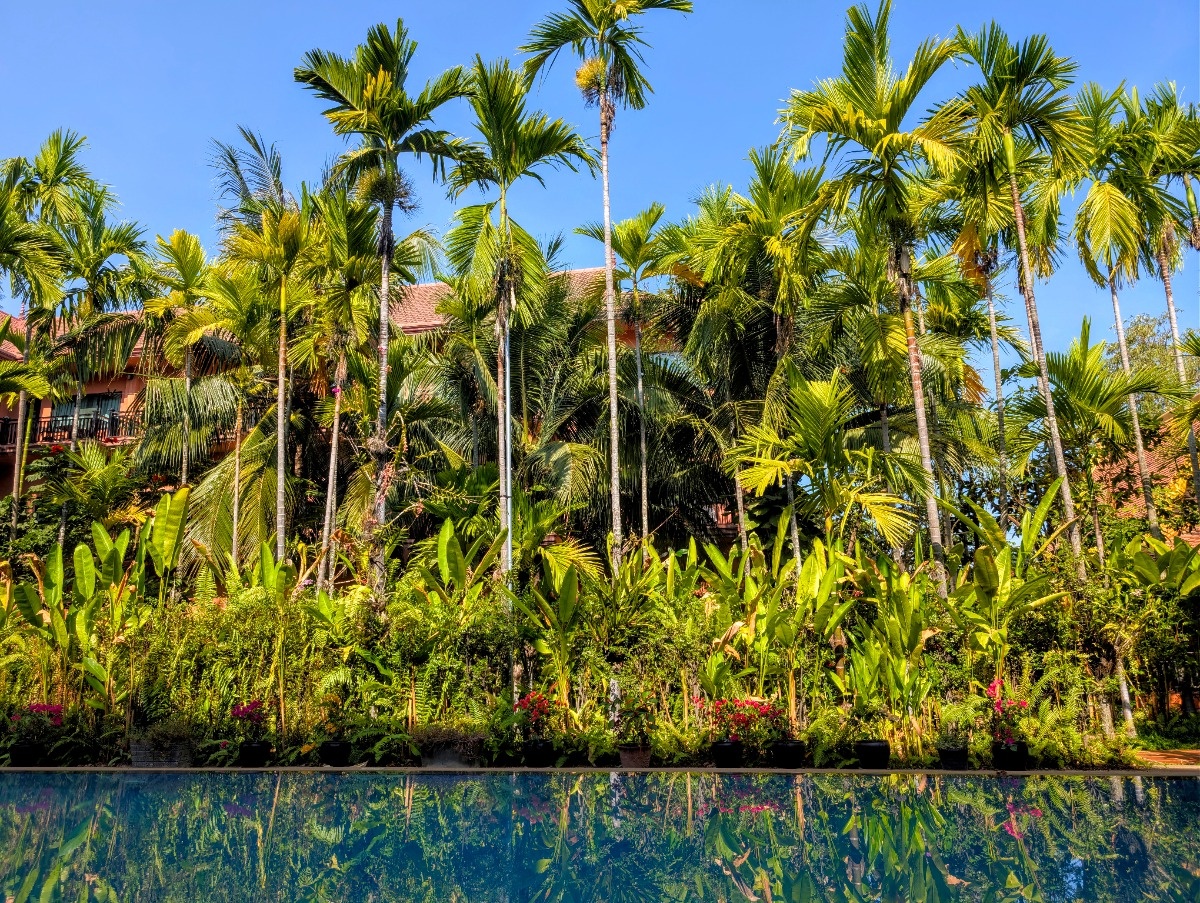 c4eaea1e-7239-4958-834f-3d1031e60efb