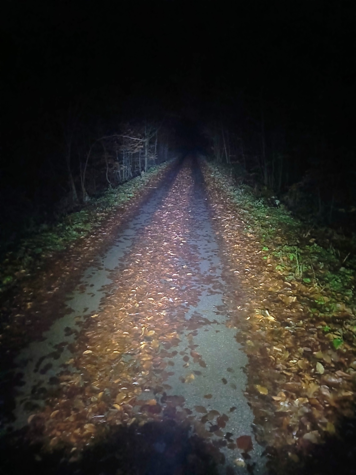 045399fb-515b-47eb-bbd3-26d56403debe