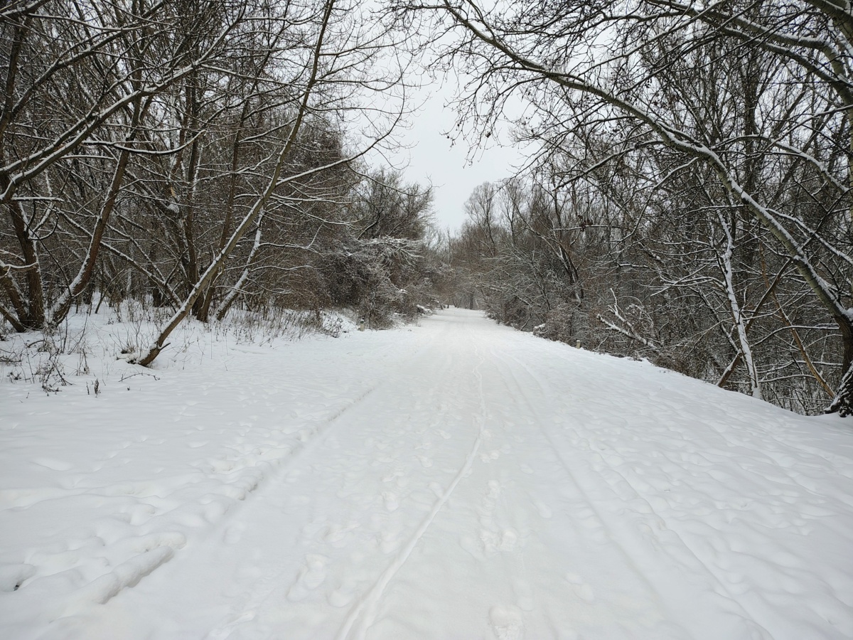 73a8d26a-7419-4444-adde-60582e2249fe