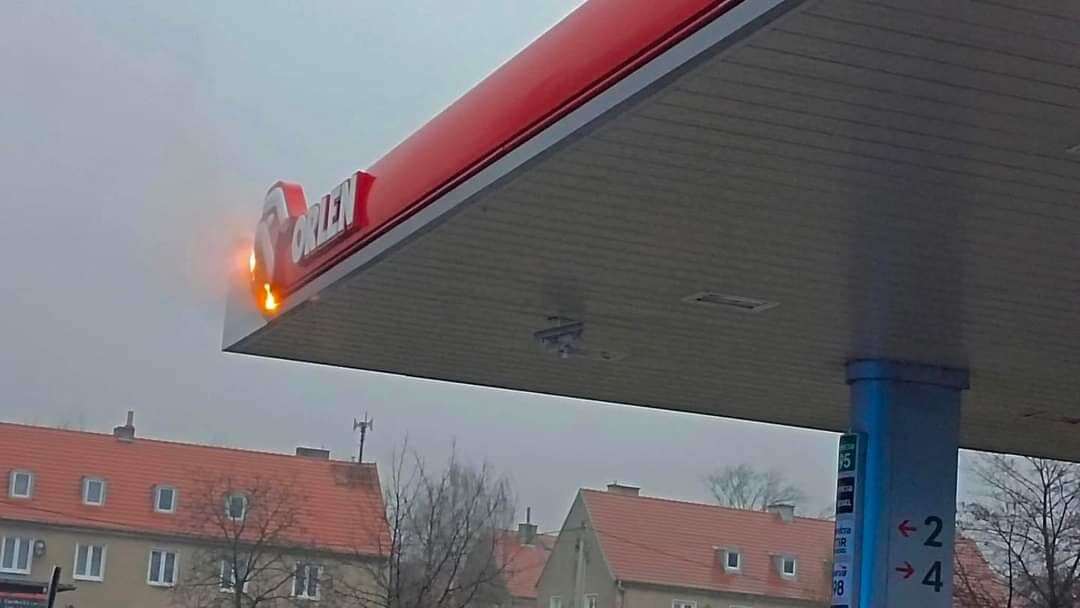 d0e81960-f2a0-495b-822b-e7191e944184