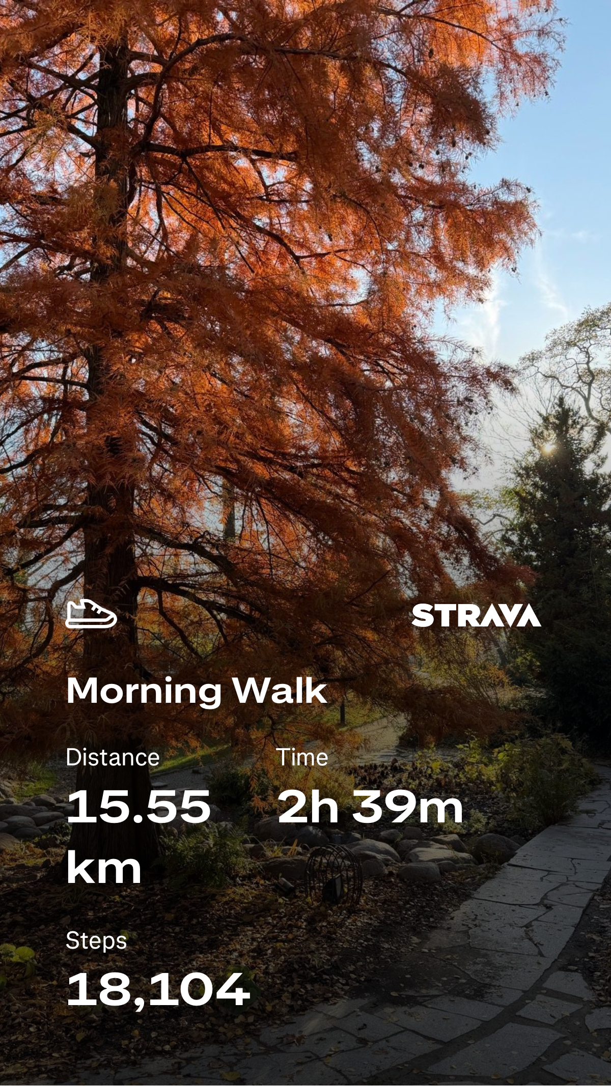 a786d9f6-f08c-4e40-b5c1-1d818f21d12c