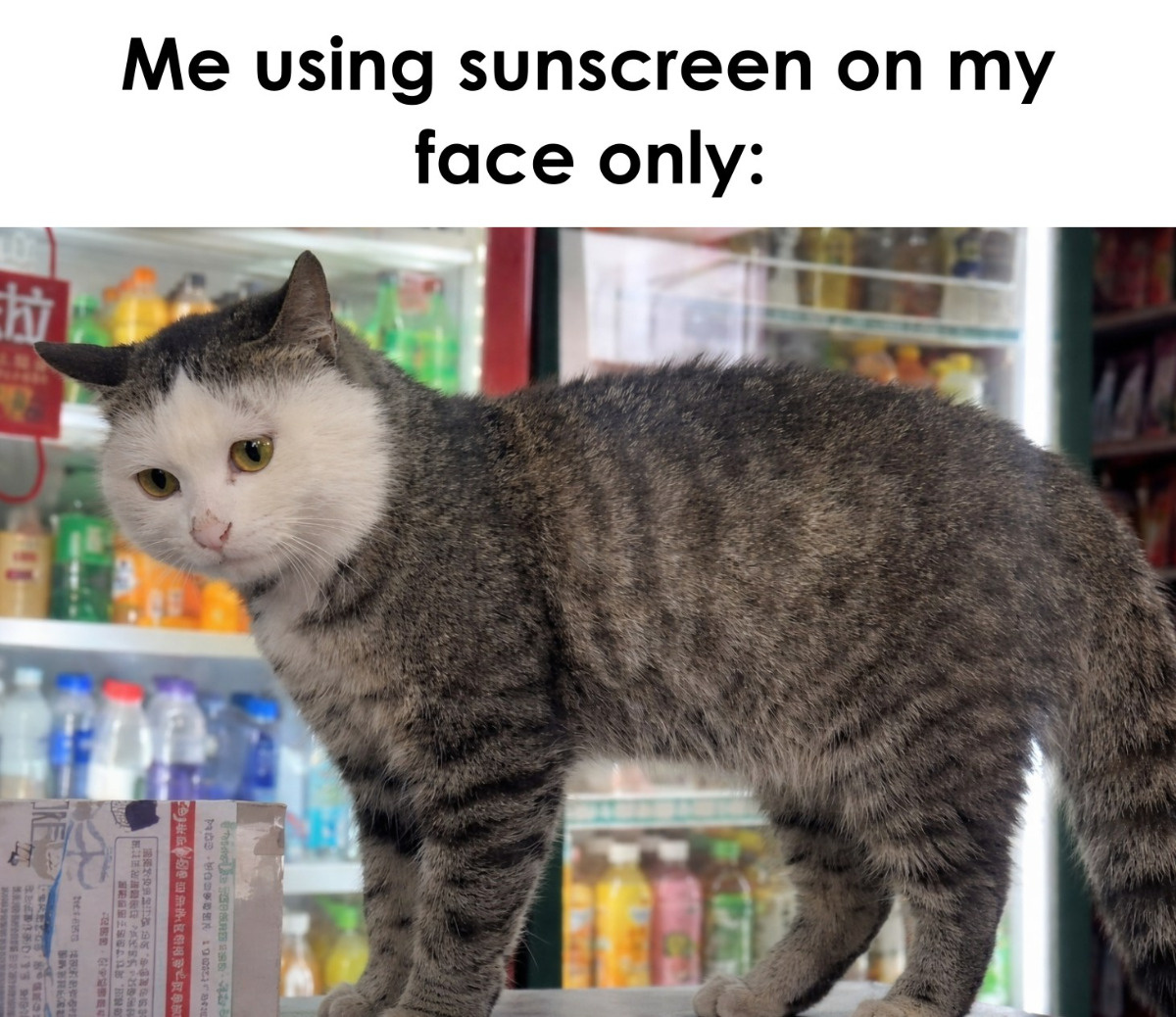 8f3a002d-aa3a-456a-be0f-eae2301bad0d