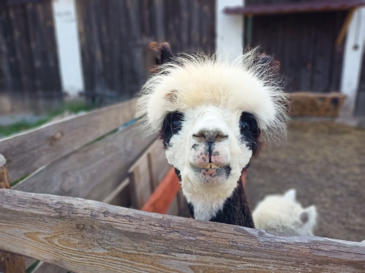 e107acda-3ba2-430e-b775-f374f2178c46