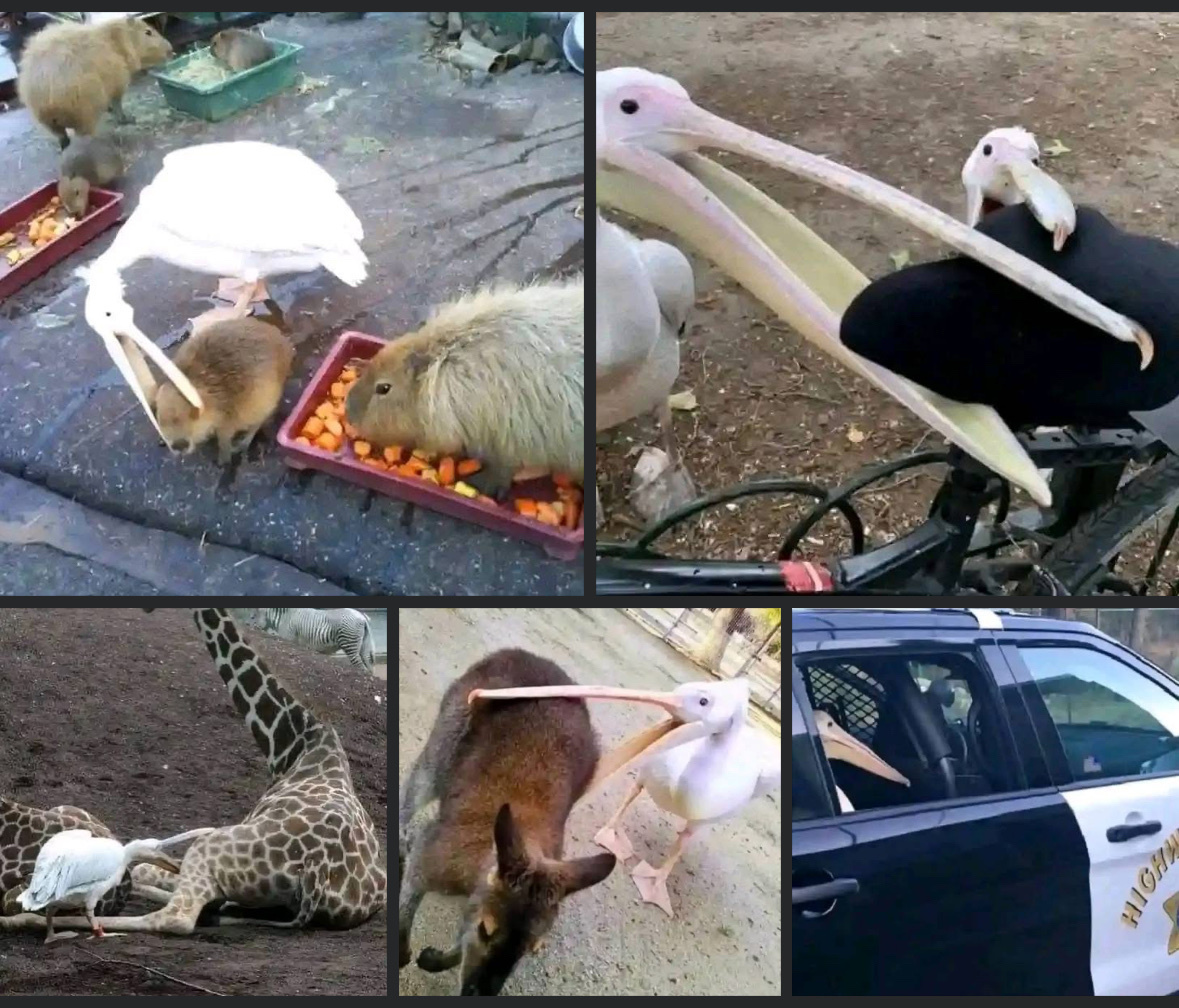 05beb3c9-78c9-4a51-b574-34d79113e599