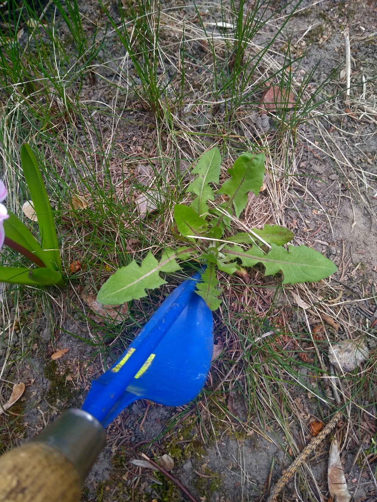 b813e1e0-e063-47cc-9413-75a436a145a6