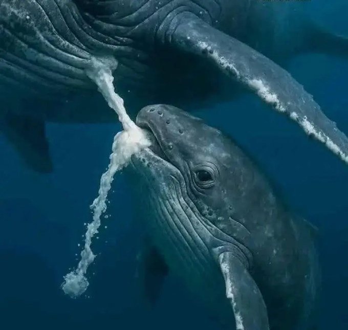 b54dcefb-5e6c-4e3e-b5bf-58520970c6ee