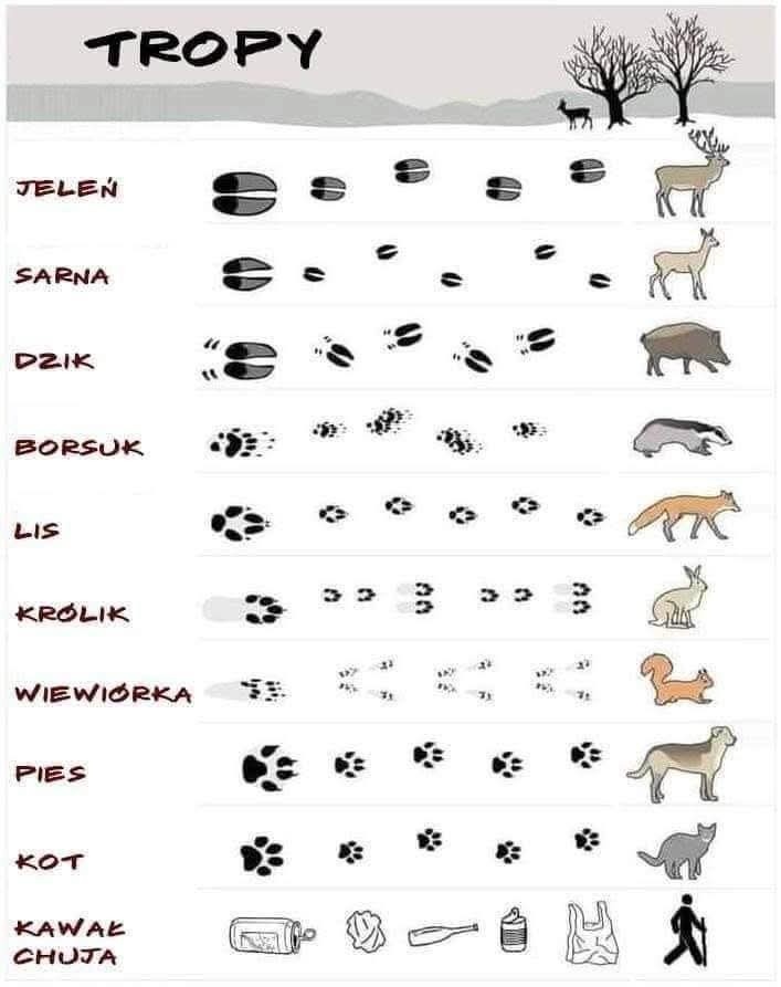 5273b3f8-b9fc-427d-9474-088757f5a720