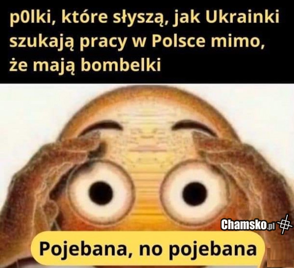 9aea3ff1-9ee3-4330-ab27-580f7fe65de2