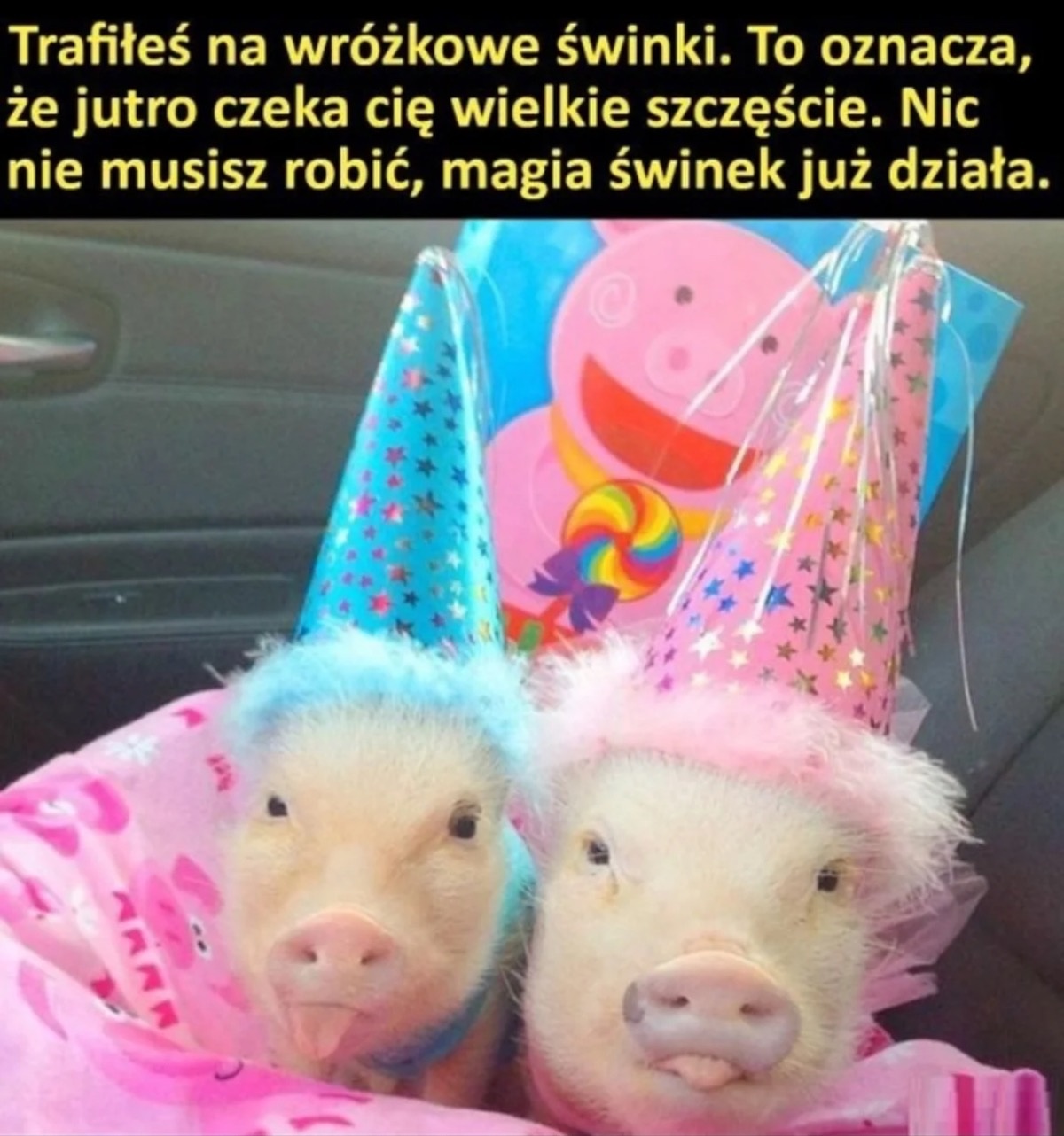 5befaa4d-976e-494d-8470-9762822ca58c