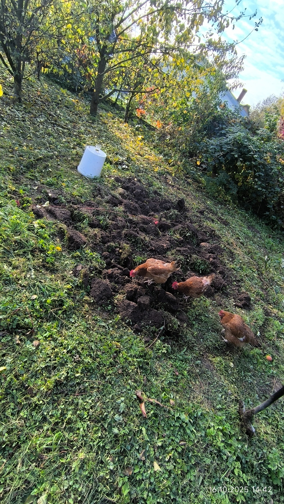 eb201408-afcf-4437-af09-c03e087ad64a