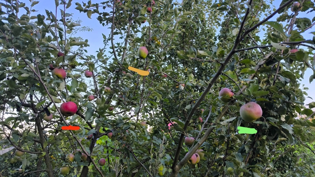 b320d486-bb37-40e7-8325-6b8305ee1b62