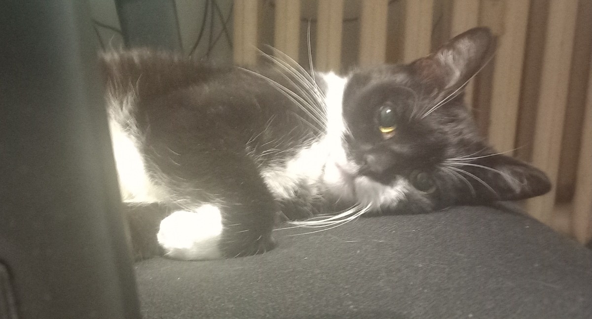 3a9ef258-338f-4254-87fc-889ba7c32c2a