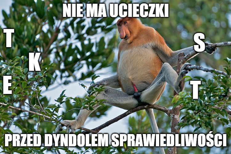 ff6d2f8c-3252-4ba7-a421-0f8f153c2cc0