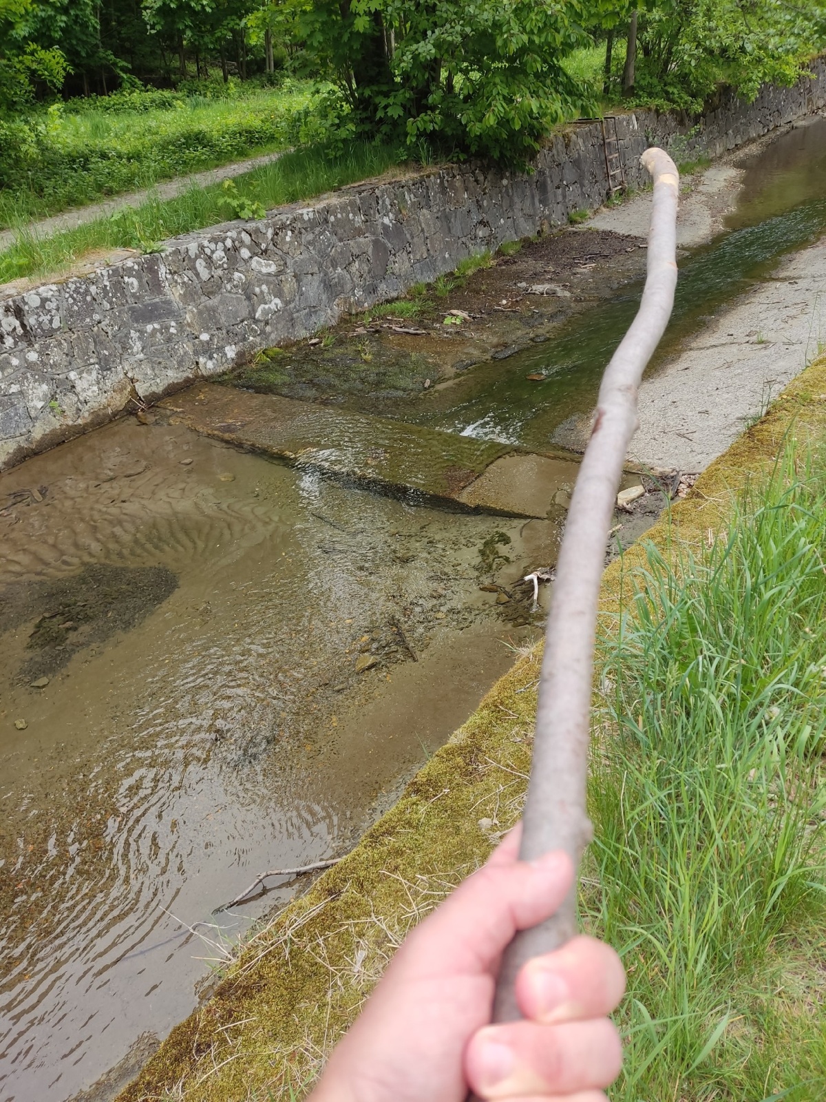 31fcb896-8697-45f9-b821-b668bf78c33a