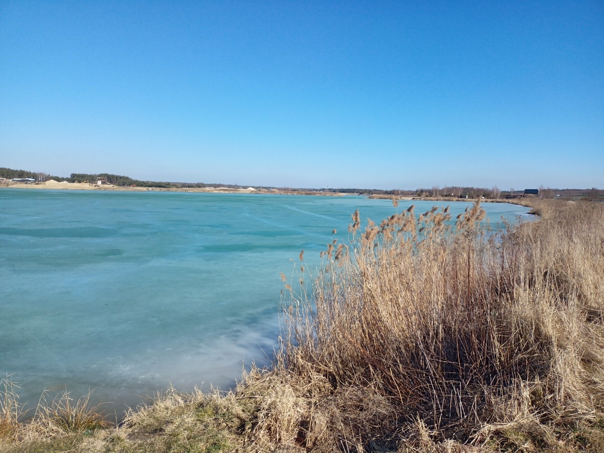 ed783830-8b84-4a50-92f0-b05cce4a9d41