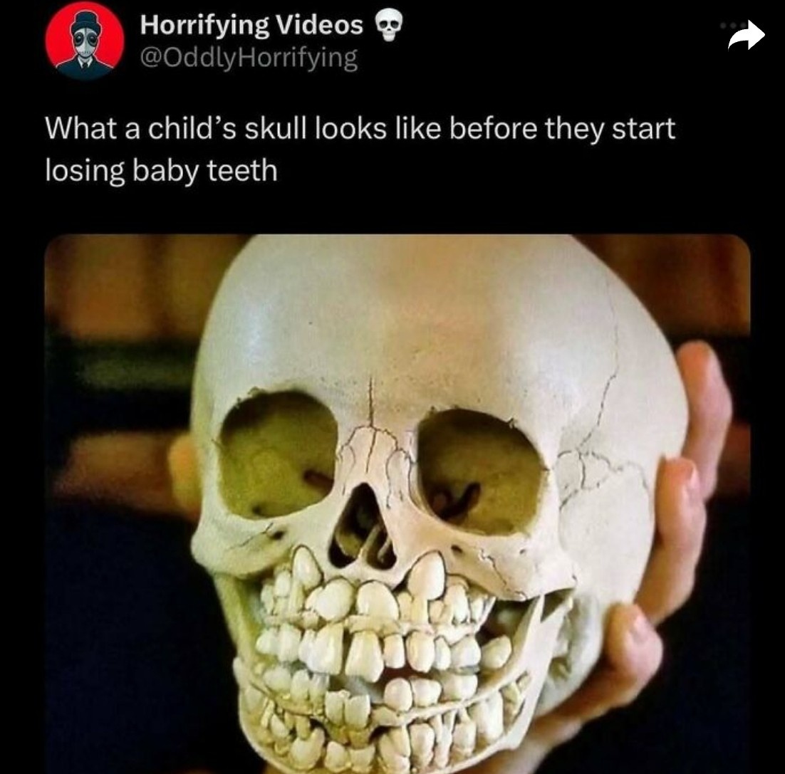 6c68a411-6655-42e9-ba92-d6d03c4f92c5