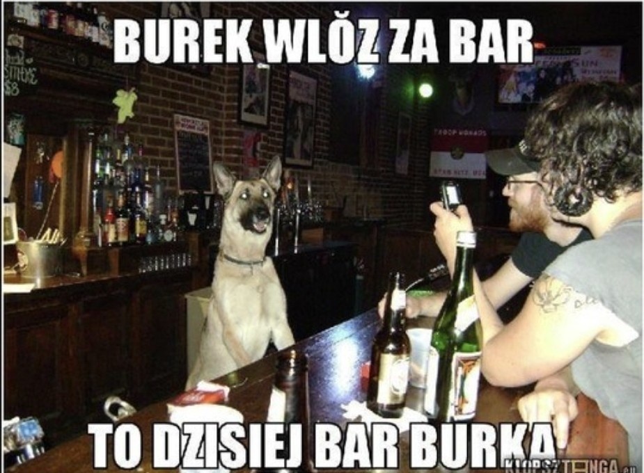 d11d50c8-8210-456c-890c-78f8c1cab6e1