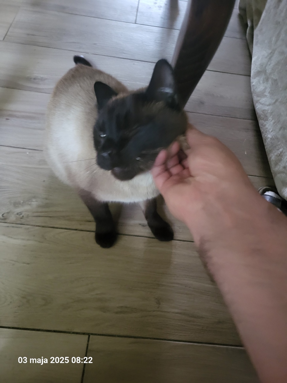 9a0169af-b461-4a11-a776-58963fe3d43f