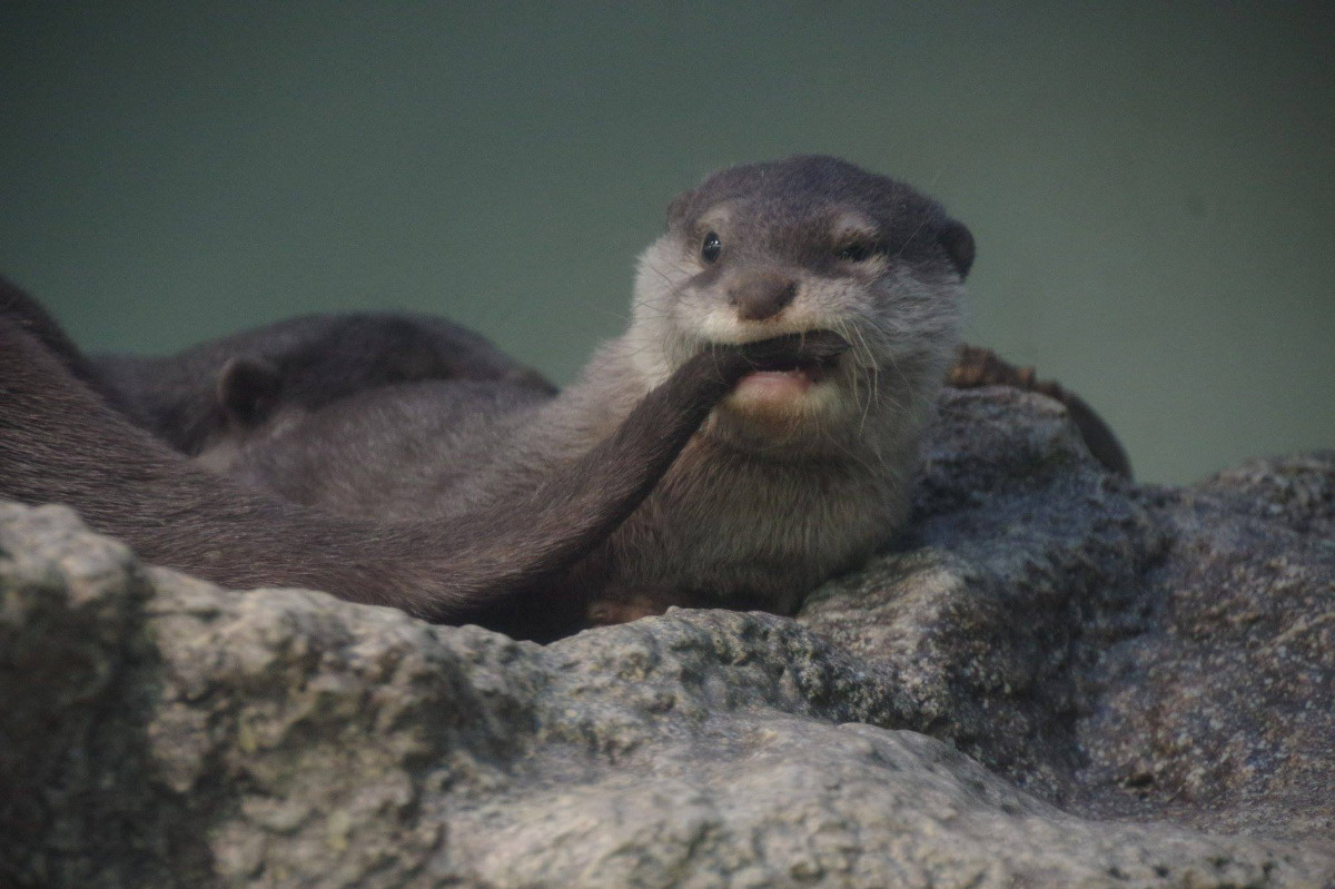 3f8e9b46-6668-4fd6-8542-9647e5df3473