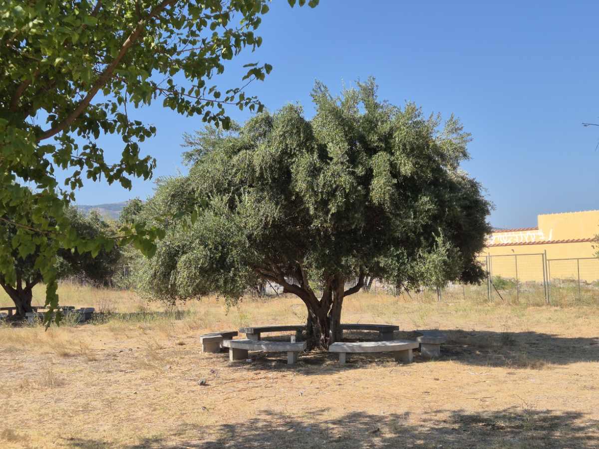 805062d7-0585-4693-ac50-c1e20b7e8949