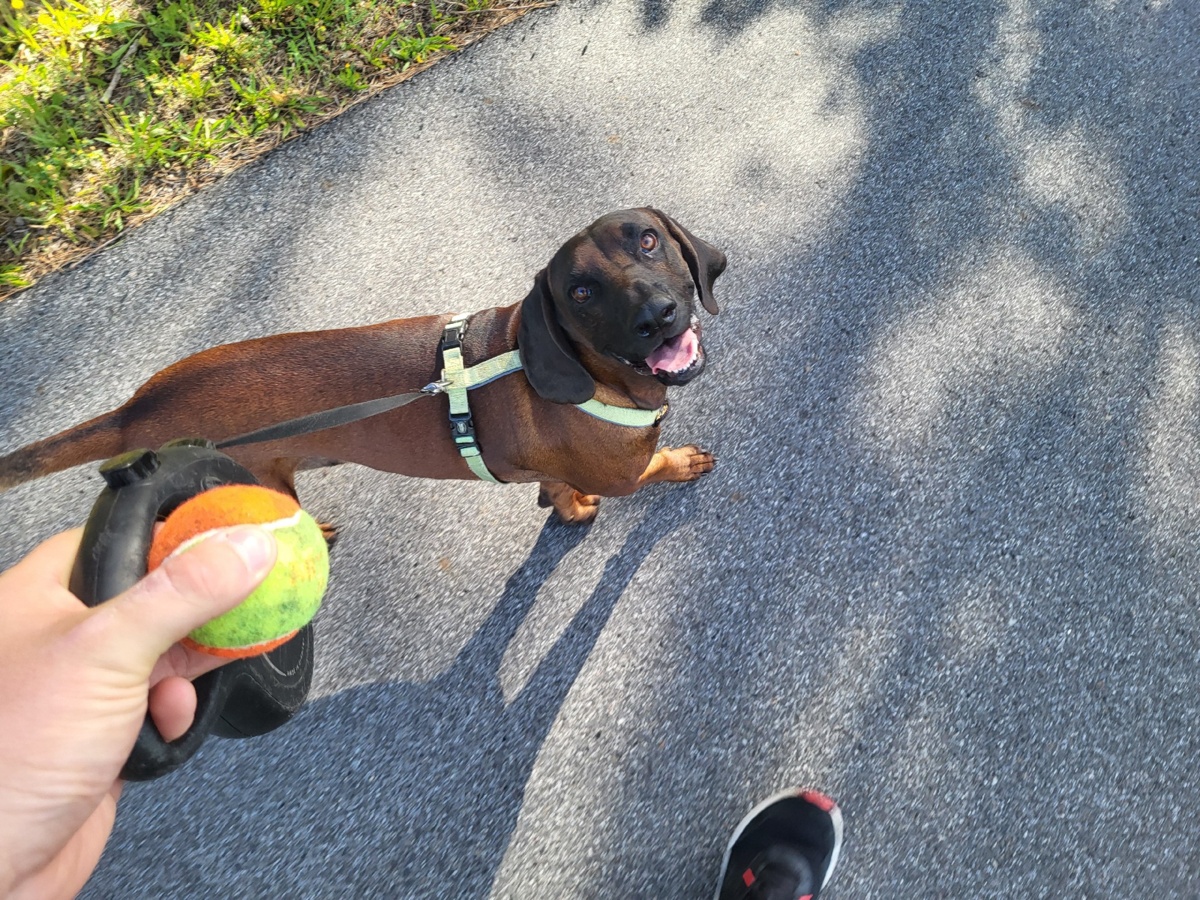 16ad6cea-511c-49fc-80c3-16f2e33b82de