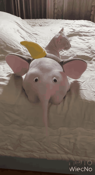 5c397337-cc4b-4e89-a46d-376550dc6a98