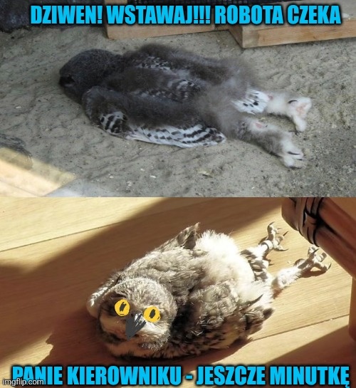 feea23ac-5710-4e65-a79e-4c39d9ea959d