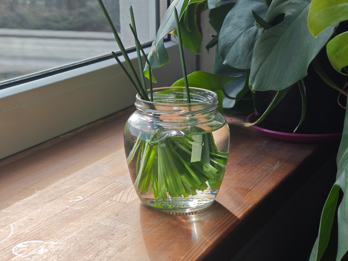 9ede6407-2178-4f1e-ae1e-bfb0caa58d96