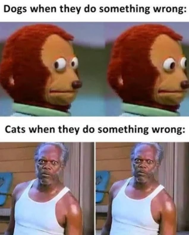 e81400e6-3dcb-4bcd-98bd-dda675fe481f