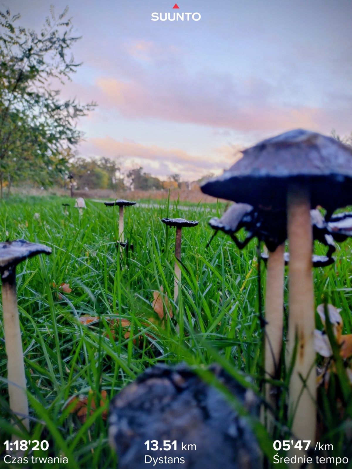 5ab7b881-94c8-495e-9f08-dc8207828871