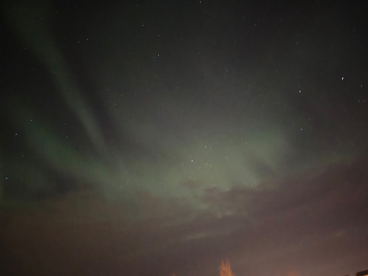 0c31cf97-6d2c-4e30-8ad0-6eb7982bb544