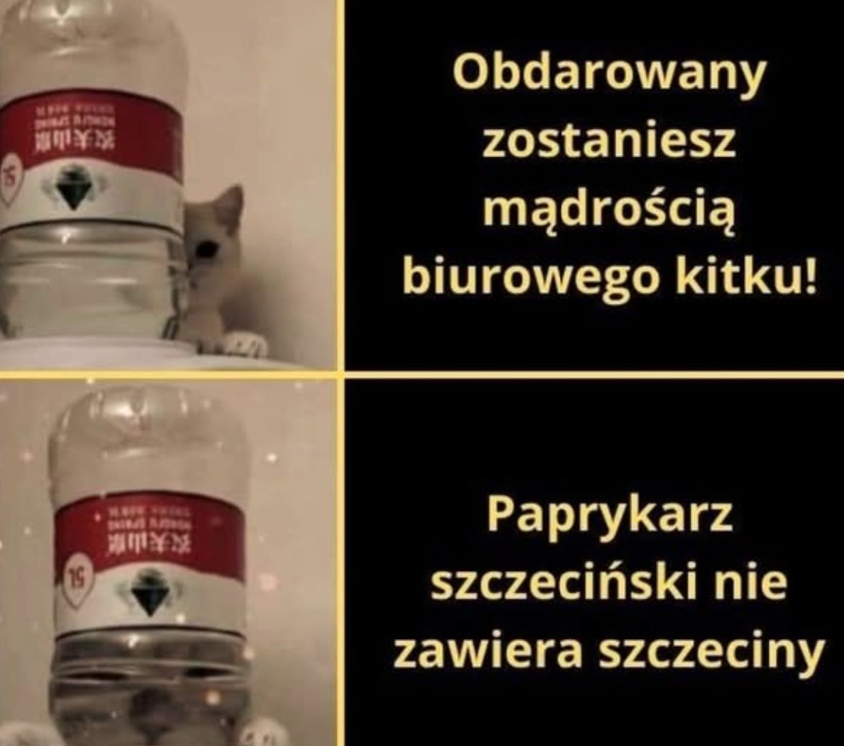 9a831d4d-6a67-4510-a833-1b58da8319e5