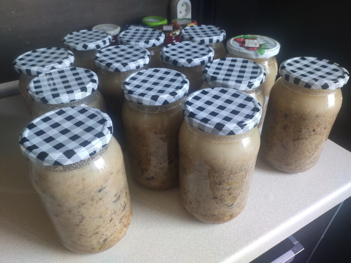 b56db58c-3036-4e95-a735-00c5fda0db41