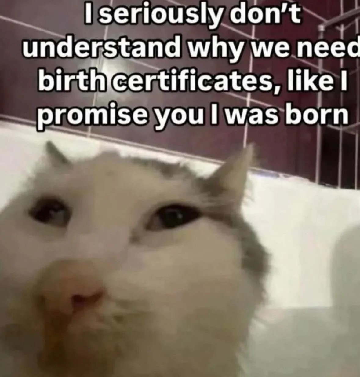 fab90d36-1157-406f-ad9d-f1ef63384b06