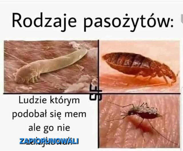 66fbbf42-2829-4053-b0dd-0436c20d0d82