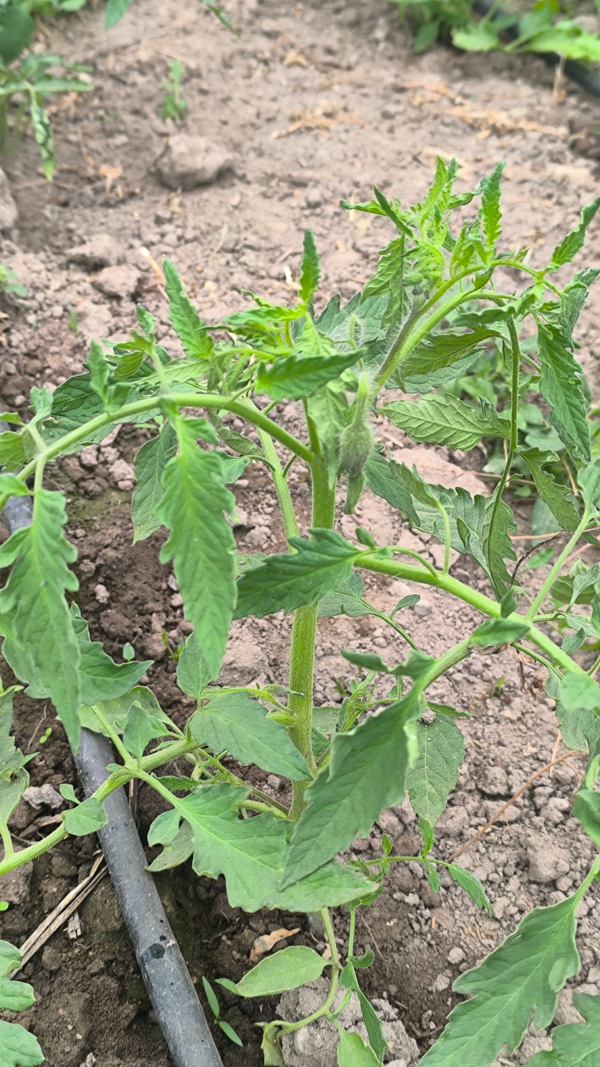 9eb6710e-d7ee-410e-8c37-8b514e574f72